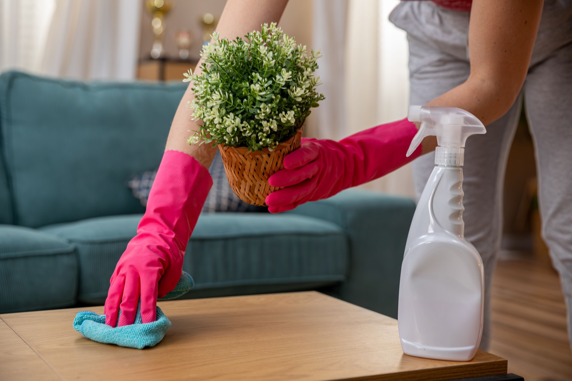 Home Cleaning with Care Achieving a Bright and Fresh Living Space for Comfort and Style